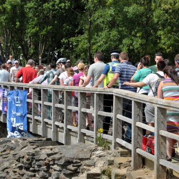 The Big Cheese - Crowd Bridge